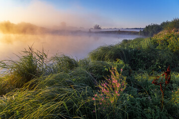 morning on the river