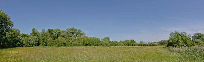 Fototapeta na wymiar Trees and shrubs in a fields with wildflowers in bourgoyen nature reserve, Ghent, Flanders, Belgium 