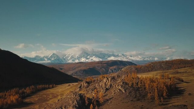 Altai Republic, Siberia, Russia. Rare trees, a highway in an endless field and steppe and huge snowy mountains in the background. Aerial view of the beautiful autumn wildlife of the Altai Territory