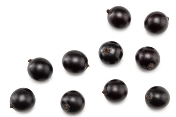 black currant isolated on white background. macro. clipping path. top view