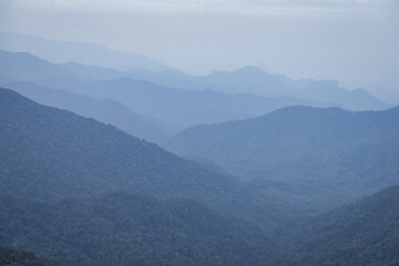 Cameron Highlands im Nebel