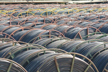 Fototapeta premium Stacks of irrigation hose reels, black plastic water pipes