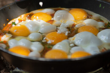 Shakshouka, a traditional dish of poached eggs in sauce of tomatoes, harissa, olive oil,  onion,  garlic and spices, boiled in a pan outdoors 
