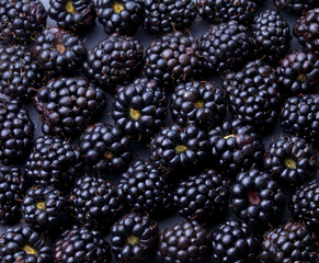Fresh ripe blackberries as background. Top view. Blackberry texture close up.