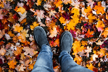 feet in autumn leaves