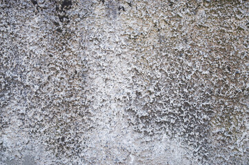 Old cracked plaster. Concrete old wall. Repairs. Restoration. Old concrete background. The architecture of the past.