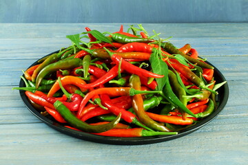 garden fresh red,green,purple chilli or chili pepper in dish