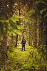 Fototapeta premium person walking in the woods