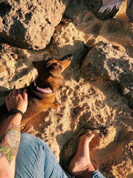 Overhead View Of A Person Sitting Cross Legged On Beach With A Dachshund Dog