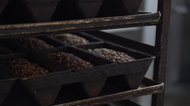 Close-up shot of delicious freshly-baked rye bread with sunflower seeds in the metal baking forms at the bread-baking factory. Bread fresh out of the oven.
Production of bread. Food industry. Bakery.