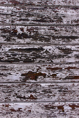 Old wooden wall plank texture in white old paint. Wooden texture of an old church.