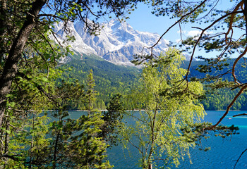 Obraz premium picturesque turquois alpine lake Eibsee (yew lake) by the foot of mountain Zugspitze in Bavaria (the German Alps, Garmisch-Partenkirchen, Grainau, Bavaria, Germany) 