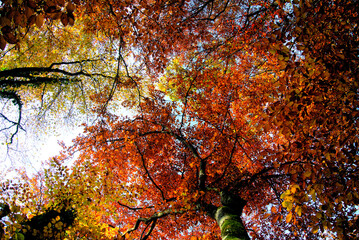 Herbst 2021