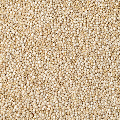 Top view, closeup of raw quinoa grains. Food backdrop