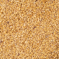 Top view, closeup of golden linseed seeds. Food backdrop