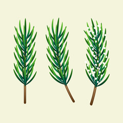 Spruce branch. Set of fir branches. Snow on a spruce branch. Vector illustration