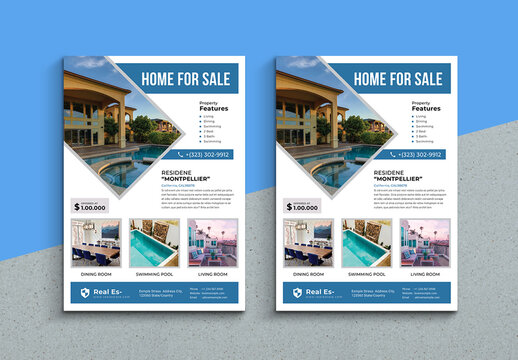 Real Estate Blue Flyer Layout