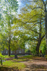 A small square and trees yellowing from autumn and a bench for rest