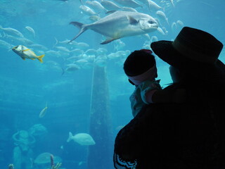 Silhouette of a Woman and her Baby Girl at an Aquarium, Looking at Fish (Travelers on Vacation in...