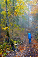 Young woman trekking on a path in a misty forest of Triglav National Park, Slovenja, Europe