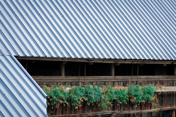 Corrugated metal profile roof installed on a barn house. The roof of corrugated sheet. Roofing of metal profile wavy shape. Modern roof made of metal. Metal roofing.	