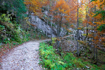 Alpine landscape in Triglav National Park - Seven Lakes Valley, Slovenia, Europe	