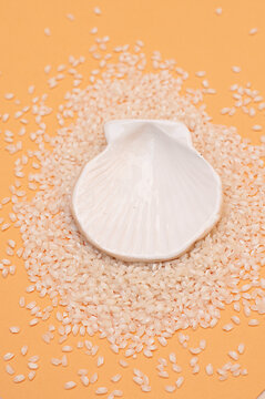 Ceramic seashell surrounded by raw rice on a table