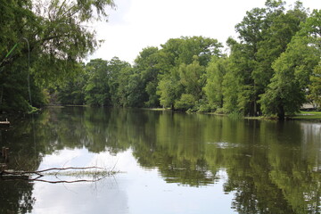 bayou reflection