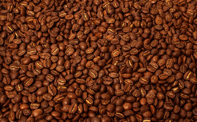 Freshly roasted coffee beans background. Top view