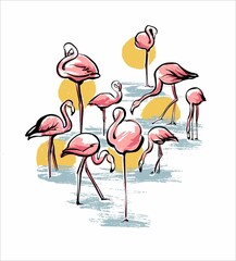 Pink flamingos in the water at sunset. Illustration for postcards and books. Sketch by hand. Vector.