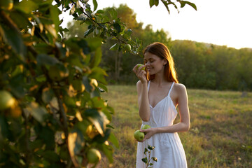 Pretty woman in the field nature apples summer