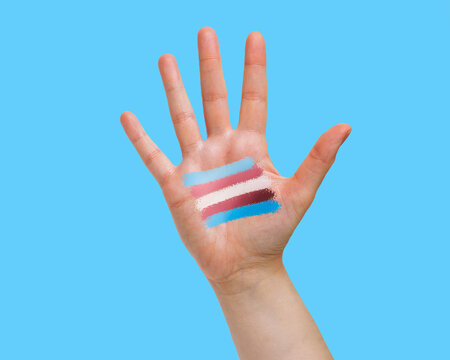 closeup of a transgender flag painted in the palm of the hand of a young caucasian person against a blue background