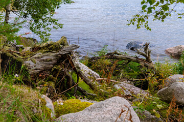 Vana-Jüri kivid Käsmu in Estland