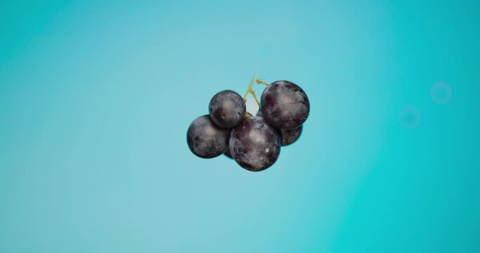 Bunch of grapes on blue plain background