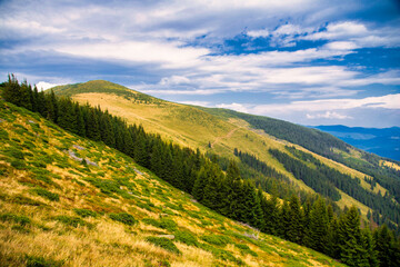 landscape in the summer