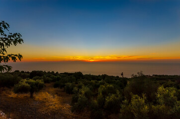 Orange glow of a setting sun behind the sea. A grove of olive trees lightly illuminated in the foreground. 