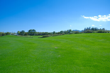 青空と緑の丘