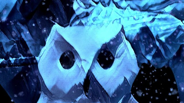Schneeeule 