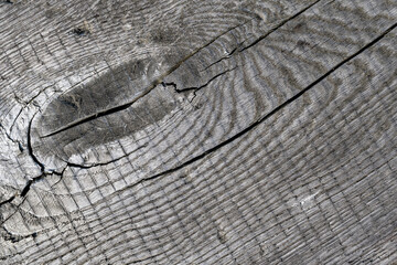 Fototapeta premium Old, gray, cracked wood 