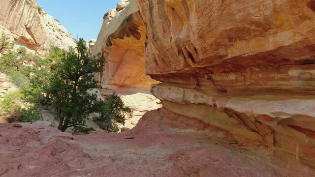 The back side of the Hickman Natural Bridge, a sandstone arch feature in Capitol Reef National Park, Utah. Camera is handheld walking a trail, revealing the arch.