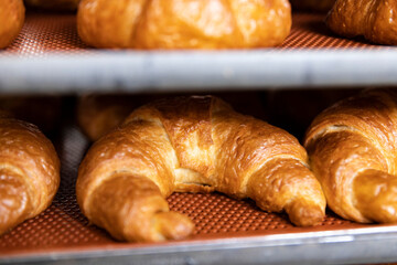 croissant in the baking