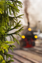 Nostalgic Forest Train Journey / Twigs of conifer tree at blurred background of railway tracks and steam locomotive (copy space)