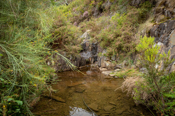 Fototapeta na wymiar a small stream along the mountain path to Drave village (Covelo de Paivo e Janarde), Municipality of Arouca, Aveiro District, Portugal