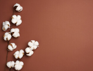 Cotton flower on a brown paper background, overhead. Minimalism flat lay composition