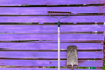 A rusty shovel and a rake leaning on a old wooden fence