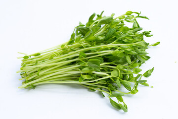 Pea Sprouts on white background.