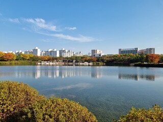 Obraz premium autumn in korean house