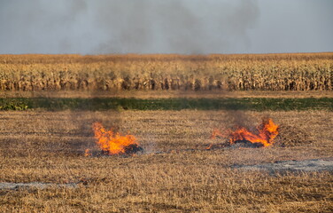 incineration of agricultural waste - smog and pollution. Harmful emissions from burning hay and straw in agricultural fields