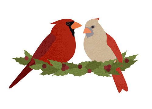 A male and female cardinal on holly leaves in a cut paper style with textures
