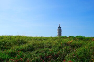 Lighthouse at the Cap Gris-Nez and wild meadow with red flowers, near Audinghen, Pas-de-Calais, Hauts-de-France, France